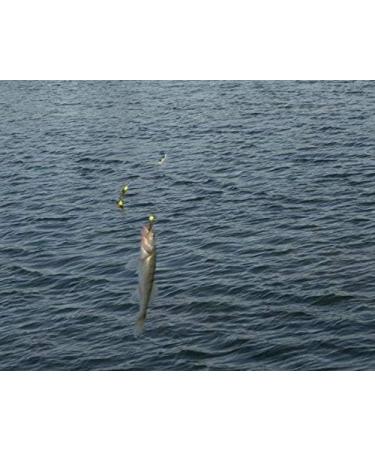 Alabama Rig Umbrella for Bass Fishing - 3 Arm Swim Baits Lures Bait Kit | Freshwater Trout Salmon - 2 Pcs Black Blue - Buy Online on SooperMarket.com