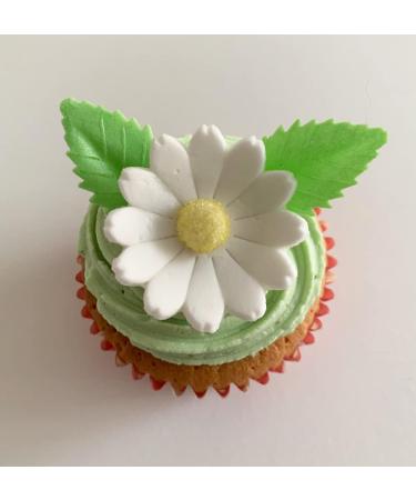 Holly Cupcakes 6 Beautiful Sugar Daisies & 12 Pretty Edible Wafer Leaves - Buy Online on SooperMarket.com