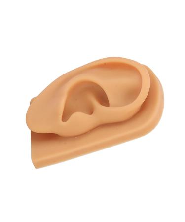 Waterproof Silicone Right Ear Model for Science Education - Easy to Observe & Prevent Damage - Buy Online on SooperMarket.com