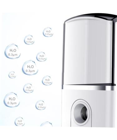 Healeved 3 Pcs Fashion Mist Sprayer Steamer Creative Nano Mist Sprayer Mini Face Spray Device - Buy Online on SooperMarket.com