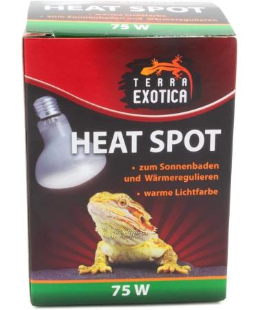 Terra Exotica 75W Heat Spot Bulb for Reptiles - 3 Pack Terrarium Lighting - Optimal Heat for Reptile Habitats - 25W 40W 60W 100W 150W Options Available - Buy Online on SooperMarket.com