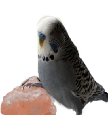 Himalayan Rock Salt Lick For Small Animal/Pet Licks Hanging -86gram- 2 cube salt(PACK OF 12) - Buy Online on SooperMarket.com
