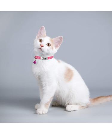 Tagme Personalized Cat Collar - Adjustable Safety Neck Band for Cats (2-Pack) - Pink - Custom Name & Phone Number Fits 18-28 cm - Buy Online on SooperMarket.com