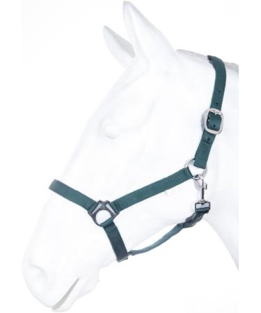 Nylon Halter BASICLINE - Dark Green Warmblood | RL24 | Durable & Stylish Horse Gear - Buy Online on SooperMarket.com