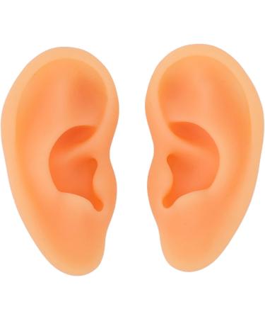Kadimendium Human Ear Acupuncture Model - 2 Pieces for Training - Buy Online on SooperMarket.com