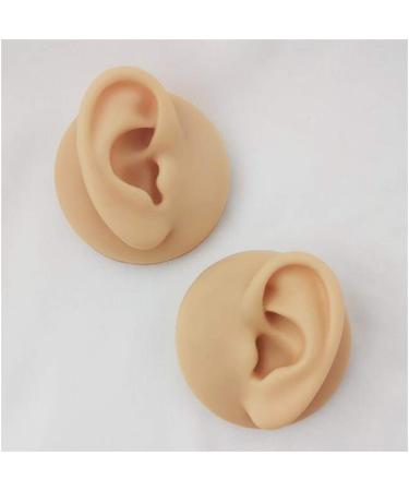 Silicone Ear Model - Human Ear Model Simulation - for Human Body Piercing Acupuncture and Moxibustion Ear Practice Ear Teaching