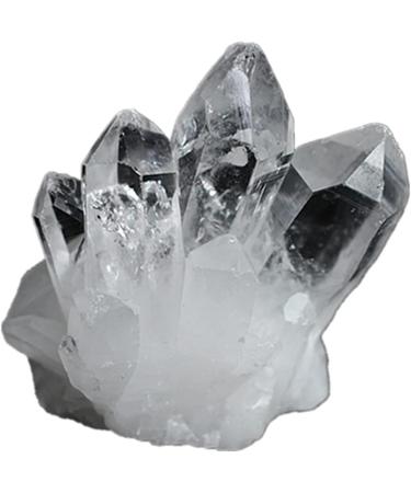 FUERLI Natural White of Original specimens (Size : 400g) HOMEZHOU (Size : 400g) - Buy Online on SooperMarket.com