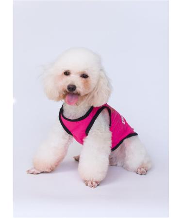 3-Pack Dog Clothing | Princess & Prince T-Shirts for Cats & Small to Medium Dogs - Cute Costumes - Buy Online on SooperMarket.com
