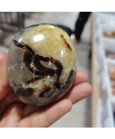 Home Decoration 1pcs Turtle Bay Palm CrystalStones Natural Carved for Feng Shui Stones ZJGIDTEM - Buy Online on SooperMarket.com