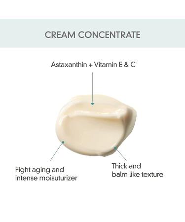 Rovectin Skin Essentials Barrier Repair Face Oil 1.1 fl oz - Nourishing Hydration & Skin Repair - Buy Online on SooperMarket.com