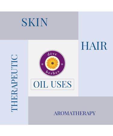 Intense Repair Hair Oil for Dry, Damaged, Brittle Hair | Reduces Hairfall | Jatamansi, Rosemary, Thyme, Tea Tree & French Lavender Essential Oils | Almond, Castor & Olive 50ml - Buy Online on SooperMarket.com