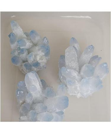 Blue Ghost Phantom Quartz Crystal Cluster Specimen kaixun (Size : 401-500g) - Buy Online on SooperMarket.com