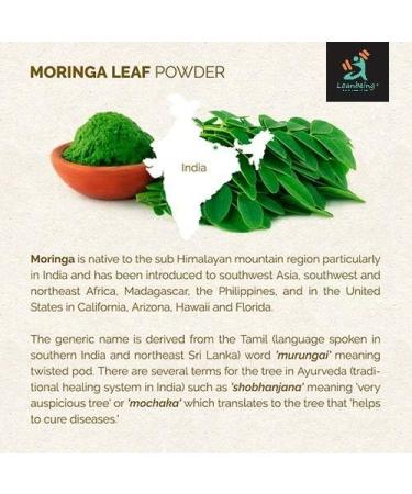 Metrol Leanbeing Organic Moringa (Olifera) Leaf Powder- Powerful Vitamins & Antioxidants (200 Gm) - Buy Online on SooperMarket.com