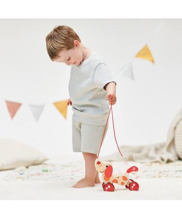 Hape E0347 Pull-Along Dog Pepe | Safe & Fun International Shipping - Buy Now! - Buy Online on SooperMarket.com