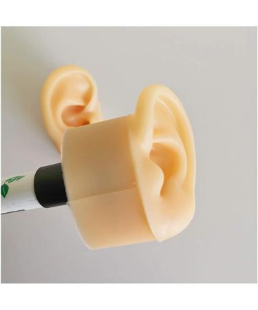 Medical Teaching Template Template Silicone Ear Template for Acupuncture - Size of Life Human Ear Model Lifeelike Artificial Ear Model - Buy Online on SooperMarket.com
