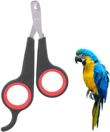 Bird Nail Trimmers Pet Bird Parrot Small Animals Accessory Grooming Tool Nail Scissors Clipper for Small Breeds Puppies Rabbits Cat - Buy Online on SooperMarket.com