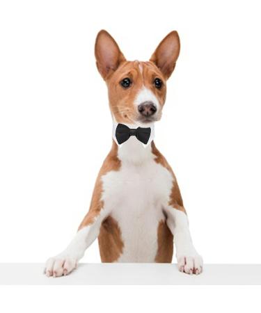 Formal Pets Bowtie Dog Cat Pets Adjustable Bow Tie and Collar Cats Puppy Grooming Ties Party Accessories Adjustable Pets Dog Cat Bow Tie Pet Costume Necktie Collar for Medium Large Boy Dog L (Pack of 1) - Buy Online on SooperMarket.com