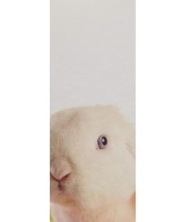 Farmhouse Fresh Rich Shea Butter Body Cream - Fluffy Bunny 8oz | Hydrating Body Moisturizer - Buy Online on SooperMarket.com