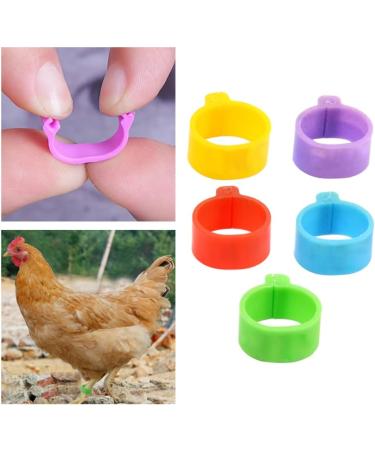 Givats Pigeon Footrings for Parrots - 300 Pieces Quail & Poultry Bands | Multi-Color 8mm Clip Leg Rings for Chickens & Pigeons - Buy Online on SooperMarket.com