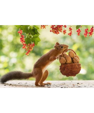 Buy 100% Natural Walnuts 5kg - Chile 34-36mm | Vegan Gluten-Free No Additives | New Harvest 2022 - Buy Online on SooperMarket.com