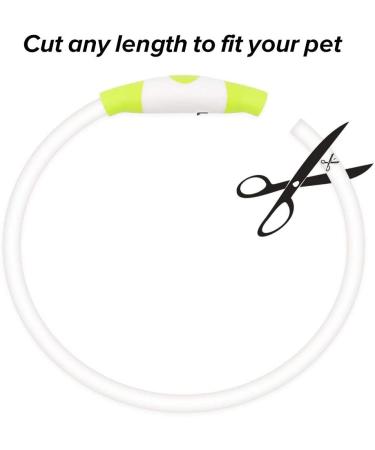 BSEEN LED Dog Collar Light - USB Rechargeable Glowing Collar for Small, Medium & Large Dogs in Green - Buy Online on SooperMarket.com