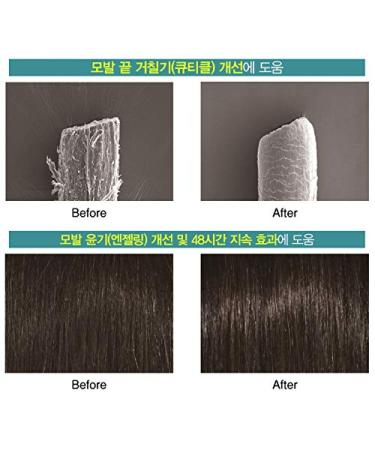 Natural Hair Growth Treatment - 200ml After Shampooing Scalp Care for Hair Loss & Thinning - Buy Online on SooperMarket.com