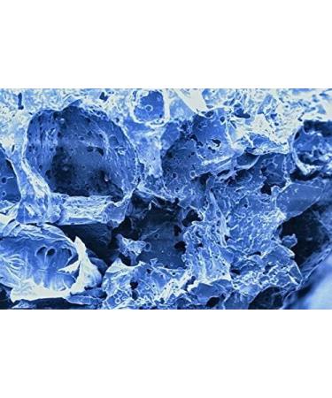 SERA SIBORAX Aquarium Filter Material 1000 ml - Organic Biological Filter Medium for Aquariums (Pack of 2) | Maximum Filtration Efficiency - Buy Online on SooperMarket.com