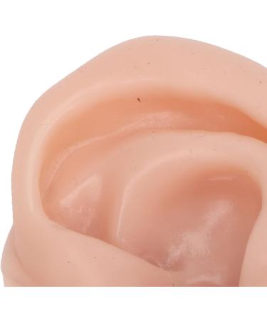 Display Ear Model Reusable Simulated Silicone Practice Ear Model Portable Elastic for Jewelry Store for Beginner(Right) - Buy Online on SooperMarket.com