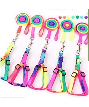 Hypeety Rainbow Design Pet Bird Harness & Leash | Outdoor Anti-Bite Training Rope for Macaw & Large Birds | Adjustable & Safe Parrot Leash (L 1.5cm 47.24in) - Buy Online on SooperMarket.com