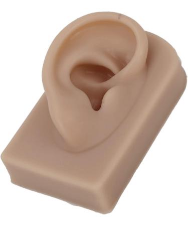 Flexible Brown Right Ear Model for Earrings Display and Acupuncture Training - Buy Online on SooperMarket.com