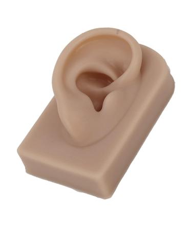 Reusable Human Ear Model - Right Ear for Piercing Training & Display (Brown) - Buy Online on SooperMarket.com