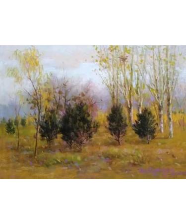 SWR Sanded Grey Pastel Paper 4K | 5 Sheets 21.49X15.4 in | Heavy Sandpaper for Pastels | Art Supplies Craft Paper (FENGGLANG-001) - Buy Online on SooperMarket.com