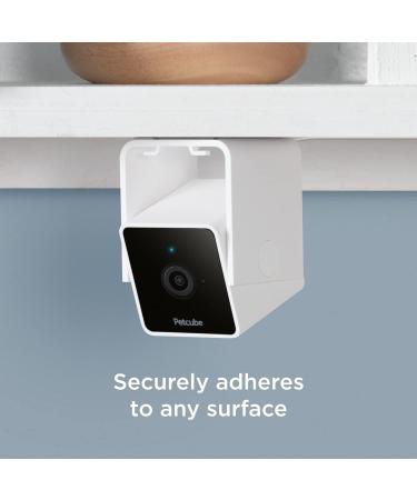 Petcube Cam Indoor Wi-Fi Pet and Security Camera with Phone App  Pet Monitor with 2-Way Audio and Video  Night Vision  1080p HD Video and Smart Alerts for Ultimate Home Security 1 camera - Buy Online on SooperMarket.com