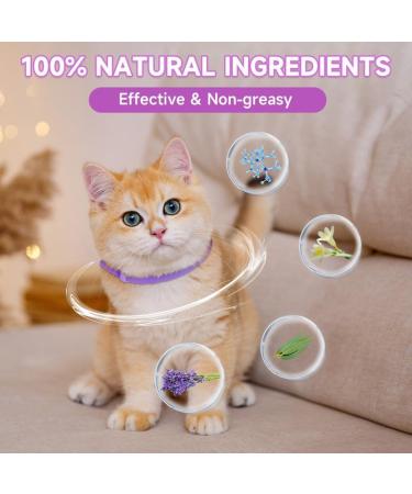Woyamay Calming Collar for Cats Luminous Safety Glow Adjustable Calming Cat Collar for Anxiety Relief Natural Cat Calming Pheromone Collar with 60 Days for Kitten Medium Large Cats 2 Pack Purple Purple-2 Pack - Buy Online on SooperMarket.com