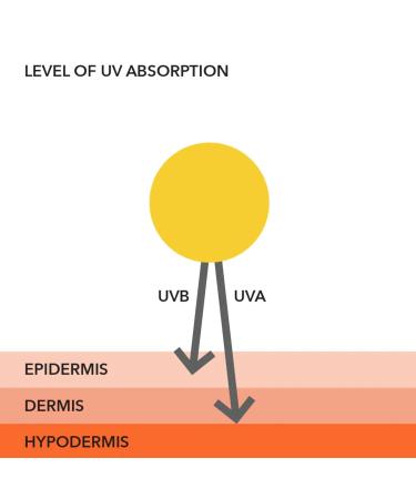 Dr. Dennis Gross Lightweight Wrinkle Defense Broad Spectrum Sunscreen All-Physical - SPF 30 - 1.7 oz - Buy Online on SooperMarket.com