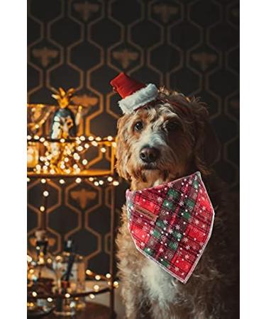 Lionheart Glory Dog Haller Washable Soft Cotton Christmas Neckerchief for Large Dogs | Adjustable Green & Red Kerchief | Perfect Holiday Accessory (1 Pack) - Buy Online on SooperMarket.com