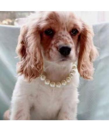 RayMinsino Adorable Pet Pearl Collar Adjustable Cat Dog Pet Necklace Jewelry Chihuahua York Girl Clothing Dress Accessories White - Buy Online on SooperMarket.com