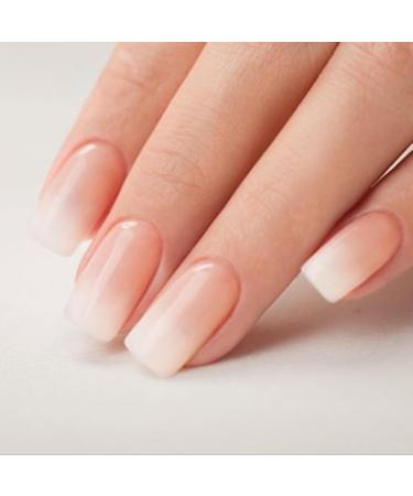 Ruarby Coffin Nail Tips Press On Nail Tips Clear False Nails Tips Full Cover Nail Tips with Positioning Line Nail Extension Tip - Buy Online on SooperMarket.com