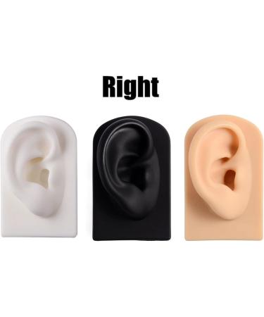 3 Pc Silicone Ear Model - Simulation Artificial Ear Model - for Hearing Aids Wearing & Ear Canal Products Display Right - Buy Online on SooperMarket.com