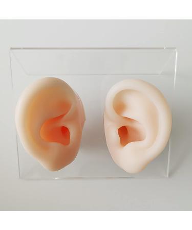 Soft Silicone Human Ear Simulation Model Learning Accessory for Ear Extraction of The Hearing Conduit Suitable for Visual Extraction Practice - Buy Online on SooperMarket.com