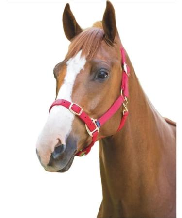 Shires Adjustable Pony/Horse Headcollar - Black Full Navy Full - Buy Online on SooperMarket.com