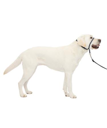 Petsafe Gentle Leader Dog Halver the ultimate solution to pull leads the pulling of your dog for easier walks helps you to regain control size L Large gray anthracite