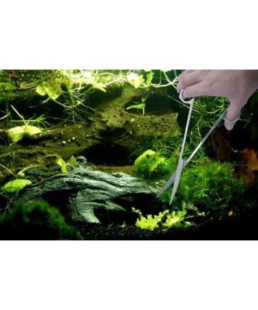 VORESTIC Aquarium Scissors 25cm - Straight Aquascaping Tools for Terrarium Plants - Buy Online on SooperMarket.com