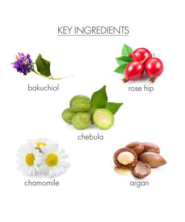 Whish Recovering Night Cream - Intense Moisturization & Natural Retinol Replacement | Reduce Wrinkles with Bakuchiol - 1 fl oz | International Shipping Available - Buy Online on SooperMarket.com