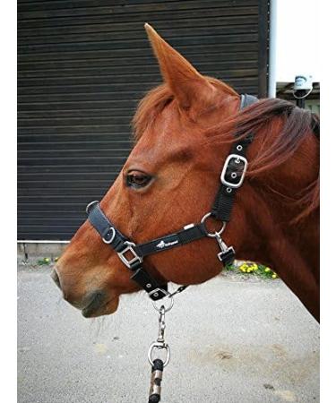 JF-Reitsport Cavesson Pro 2021 - 4-Way Adjustable Soft & Shock-Absorbing Padded for Warmbloods | International Shipping Available - Buy Online on SooperMarket.com
