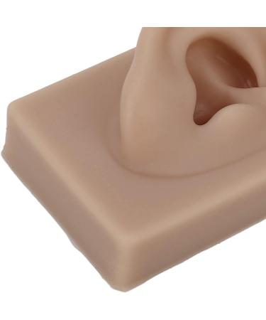 Flexible Brown Right Ear Model for Earrings Display and Acupuncture Training - Buy Online on SooperMarket.com