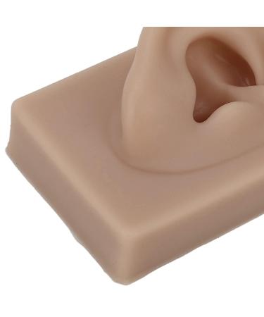 Reusable Human Ear Model - Right Ear for Piercing Training & Display (Brown) - Buy Online on SooperMarket.com