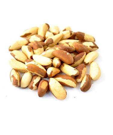 Anna and Sarah Raw Brazil Nuts, 1 POUND Bag, Jumbo Size Whole Brazil Nuts, Unsalted Nuts in Resealable Bag, 1 Lb 1 Pound (Pack of 1)
