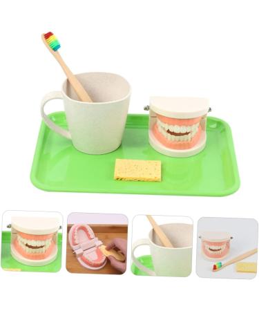 Buy Healvian 1 Set Early Dental Education Toy - Prosthesis Model for Toddlers | Reusable ABS Experience Learning - Buy Online on SooperMarket.com