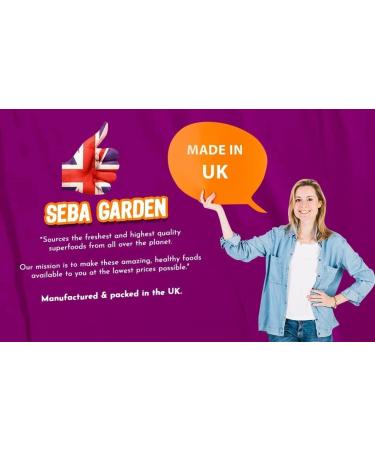 Seba Garden Peanut Butter Powder 1kg Defatted Healthy Plant Based Vegan Protein Non-GMO Certified Gluten Free and Vegan Keto Friendly Low Carb and Bpa-free 1 kg (Pack of 1) - Buy Online on SooperMarket.com